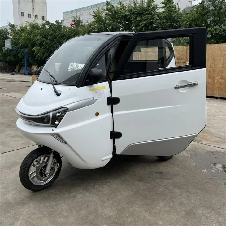 Runhorse -J1 Smart EV 3 Wheels Electric Car With EC EEC For Europe Market