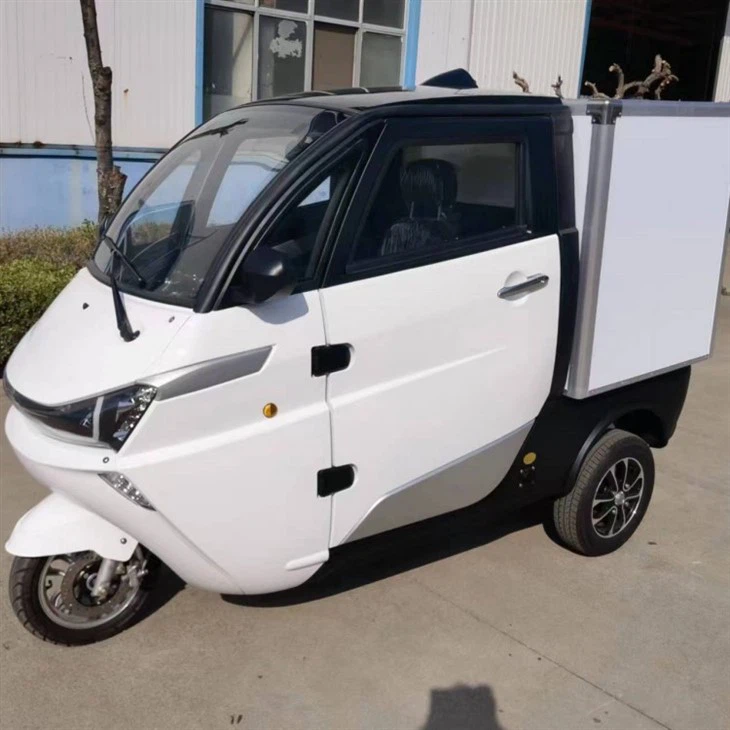 EEC L5e 3-wheel Urban Using J1-C Electric Mini Cargo Box Car