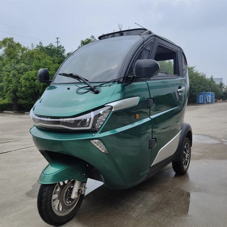 Elektrische Trikes und Fahrzeuge Trike Elektroroller Trike 3-Rad-Dreirad-Motorrad