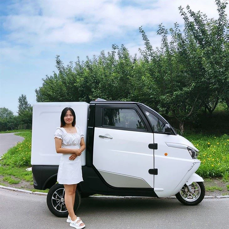 L5e China Pedal Cargo Tricycle New Energy Electric Delivery Vehicle With Van Box For Sale
