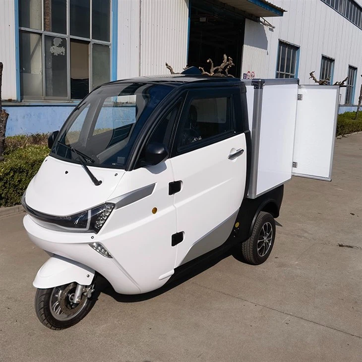 L5e China Pedal Cargo Tricycle New Energy Electric Delivery Vehicle With Van Box For Sale