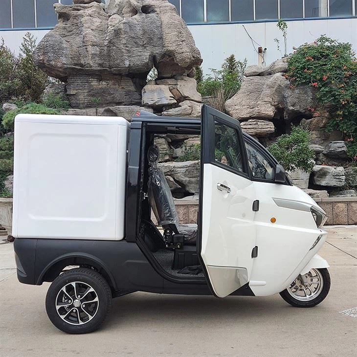 L5e China Pedal Cargo Tricycle New Energy Electric Delivery Vehicle With Van Box For Sale