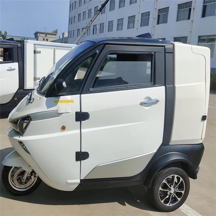 Low Price Three Wheeler Auto Electrico New EV With Cargo Box For Logistics