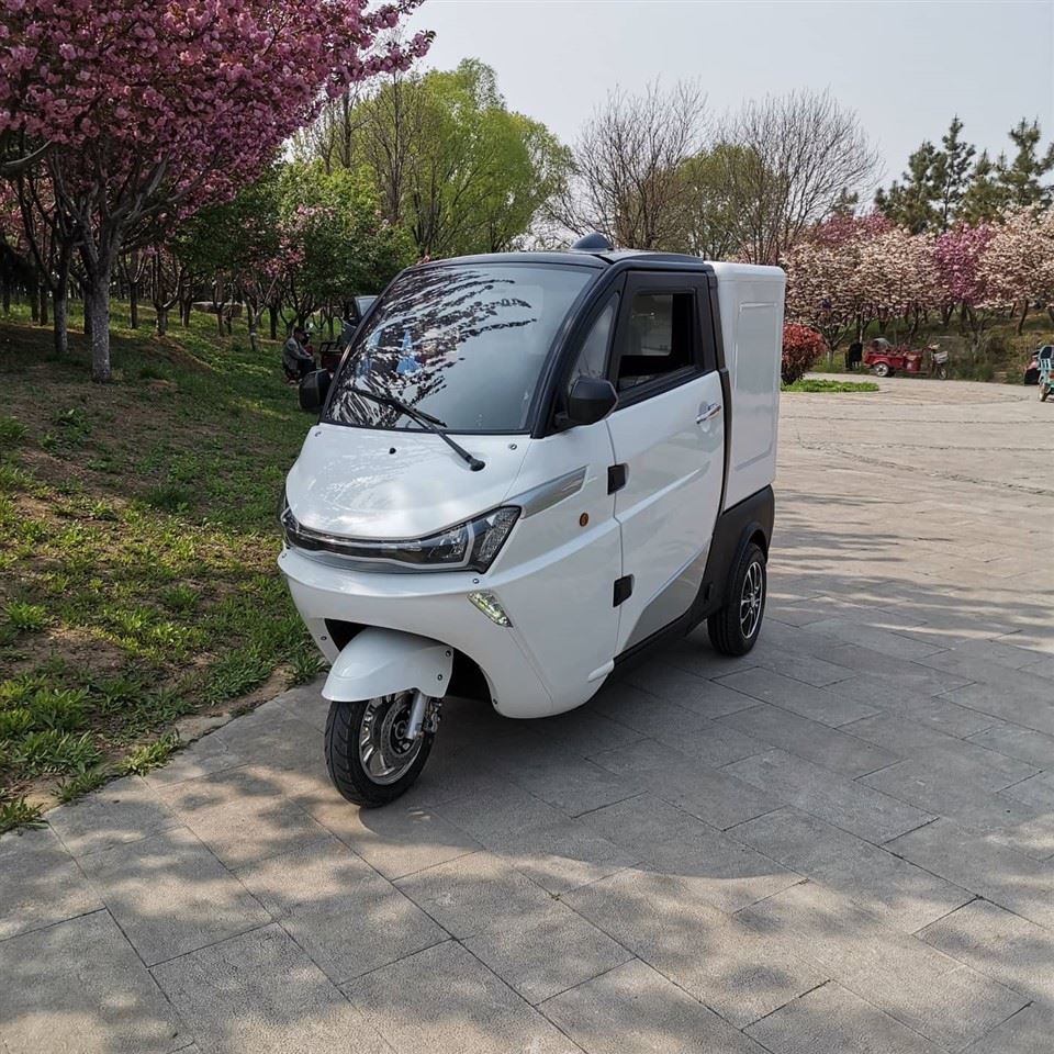 Runhorse EEC L5e elektrischer Mini-Mobillastwagen mit Van-Kasten